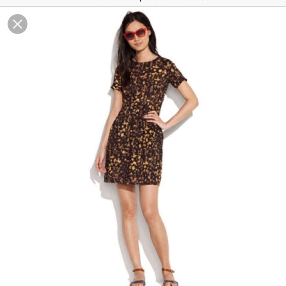 Madewell Spotshadow Songbird print dress. Size 4.